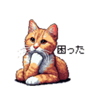 ドット絵 キジトラ 猫 日常会話 40種（個別スタンプ：39）