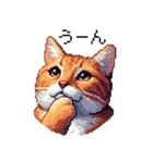 ドット絵 キジトラ 猫 日常会話 40種（個別スタンプ：40）