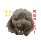ちょびさんだよ！（個別スタンプ：1）