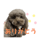 ちょびさんだよ！（個別スタンプ：2）