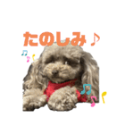 ちょびさんだよ！（個別スタンプ：5）