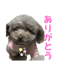 ちょびさんだよ！（個別スタンプ：9）