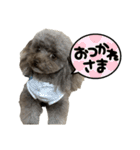ちょびさんだよ！（個別スタンプ：22）