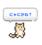 ネコまみれのドット絵メッセージスタンプ（個別スタンプ：2）