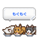 ネコまみれのドット絵メッセージスタンプ（個別スタンプ：6）