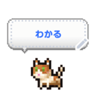 ネコまみれのドット絵メッセージスタンプ（個別スタンプ：24）