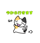 見せられない猫2（個別スタンプ：12）