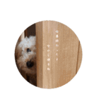 そらの日常生活PART1（個別スタンプ：3）