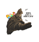 ねこのうなぎ〜新年Ver〜（個別スタンプ：2）