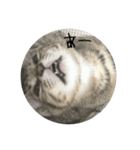 ねこのうなぎ〜新年Ver〜（個別スタンプ：4）