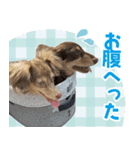 moca ＆sakuのスタンプ2（個別スタンプ：8）