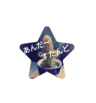 スター・サボテン 全8種（個別スタンプ：1）