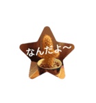 スター・サボテン 全8種（個別スタンプ：2）