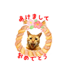 年末年始 あいさつ 茶トラ 猫 スタンプ（個別スタンプ：7）