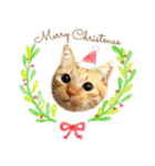 年末年始 あいさつ 茶トラ 猫 スタンプ（個別スタンプ：20）
