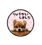 ミックス犬のポン太くん。ゆうゆう。（個別スタンプ：16）