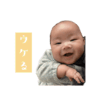 Sui ver.1（個別スタンプ：21）