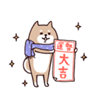 ✨SHIBAINUさん✨あけおめ！（個別スタンプ：17）