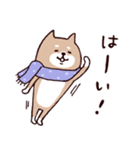 ✨SHIBAINUさん✨あけおめ！（個別スタンプ：24）