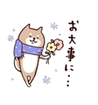 ✨SHIBAINUさん✨あけおめ！（個別スタンプ：32）