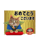 和風招き猫iいろいろ（個別スタンプ：25）