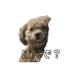 変な顔の犬展（個別スタンプ：3）