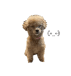 変な顔の犬展（個別スタンプ：7）