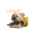 まっくとぎんちゃん（個別スタンプ：7）