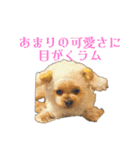 まっくとぎんちゃん（個別スタンプ：17）