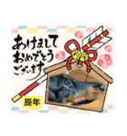 まろ犬モカのお正月（個別スタンプ：2）