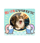 キャッツの新年のご挨拶スタンプ（個別スタンプ：14）