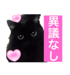 黒猫 ルナ院長134にゃんめ（個別スタンプ：2）