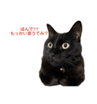 黒猫・あめちゃん・関西弁3（個別スタンプ：3）