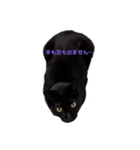 黒猫・あめちゃん・関西弁3（個別スタンプ：5）