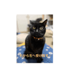 黒猫・あめちゃん・関西弁3（個別スタンプ：14）