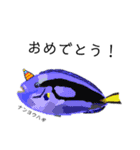 毎日使える！お魚スタンプ（個別スタンプ：8）
