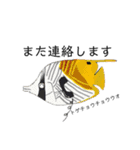 毎日使える！お魚スタンプ（個別スタンプ：15）