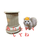 さきまるお可愛いスタンプ（個別スタンプ：7）
