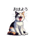 ドット絵 三毛猫 猫 日常会話 40種（個別スタンプ：1）