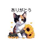 ドット絵 三毛猫 猫 日常会話 40種（個別スタンプ：3）