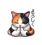 ドット絵 三毛猫 猫 日常会話 40種（個別スタンプ：5）