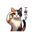 ドット絵 三毛猫 猫 日常会話 40種（個別スタンプ：6）