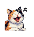 ドット絵 三毛猫 猫 日常会話 40種（個別スタンプ：8）