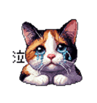 ドット絵 三毛猫 猫 日常会話 40種（個別スタンプ：10）