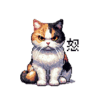 ドット絵 三毛猫 猫 日常会話 40種（個別スタンプ：11）