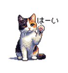 ドット絵 三毛猫 猫 日常会話 40種（個別スタンプ：12）