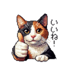 ドット絵 三毛猫 猫 日常会話 40種（個別スタンプ：14）