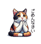 ドット絵 三毛猫 猫 日常会話 40種（個別スタンプ：16）