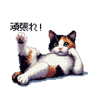 ドット絵 三毛猫 猫 日常会話 40種（個別スタンプ：17）