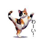 ドット絵 三毛猫 猫 日常会話 40種（個別スタンプ：19）